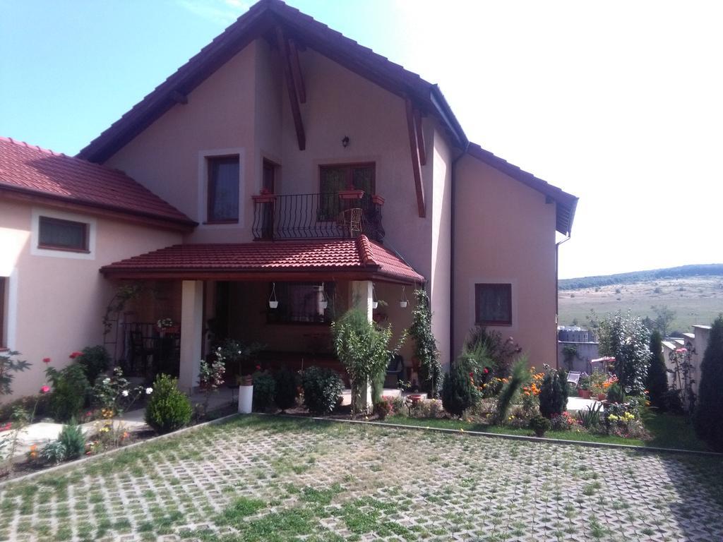 Апартаменты Casa Doina Баиле Феликс Экстерьер фото